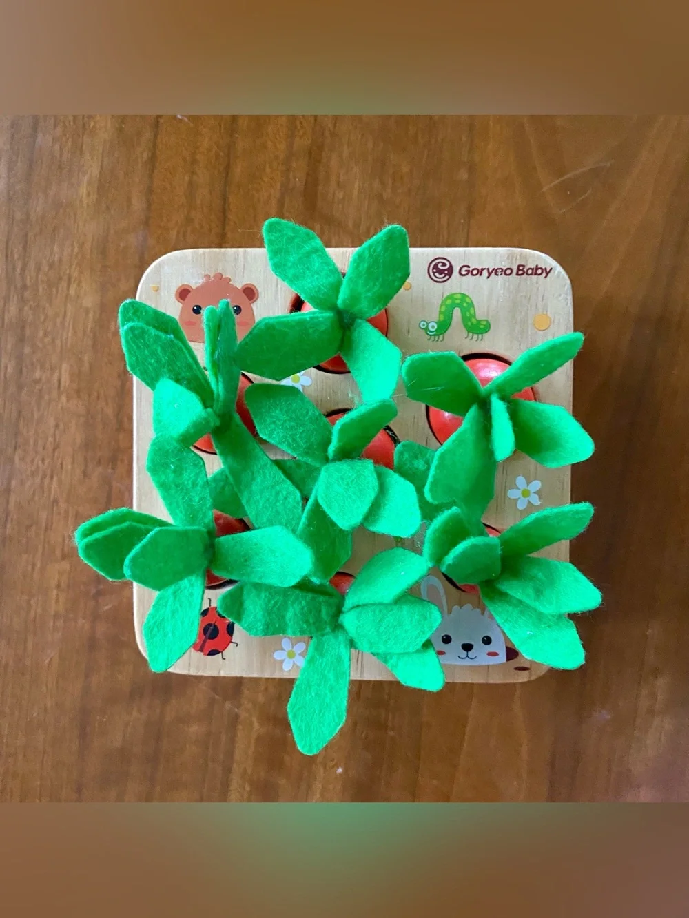Montessori Wooden Carrot Harvest Toy for Toddlers 1-3, Shape Sorter